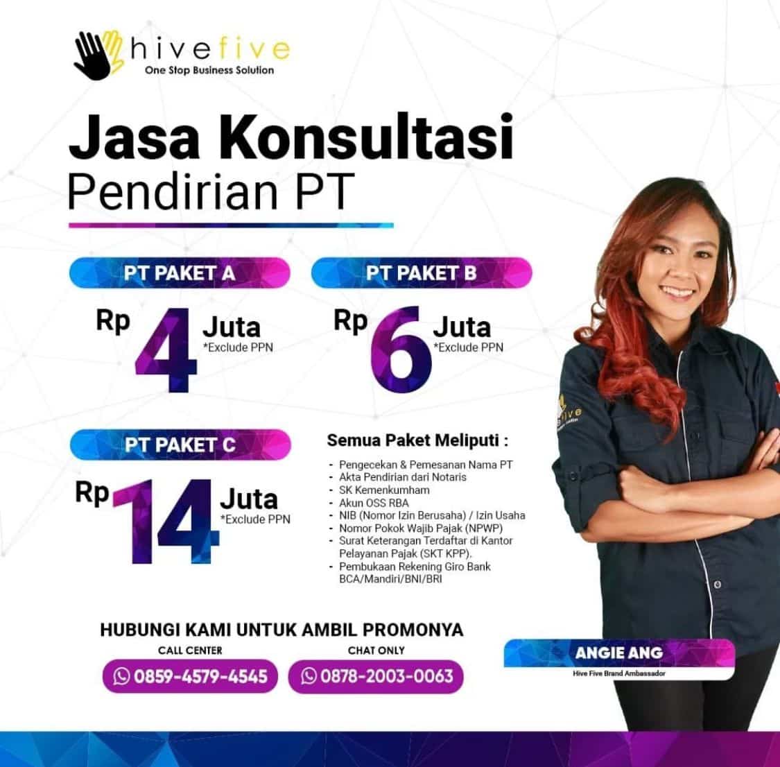 Jasa Pembuatan PT Jakarta Hive Five Dengan Harga Terjangkau